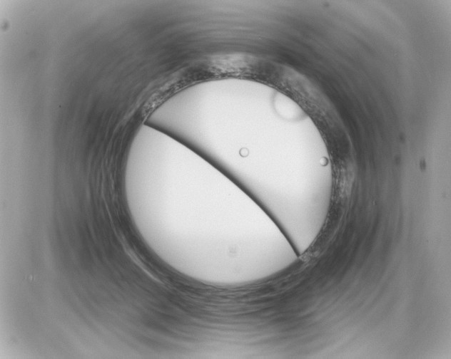 X0000087520408200705112011