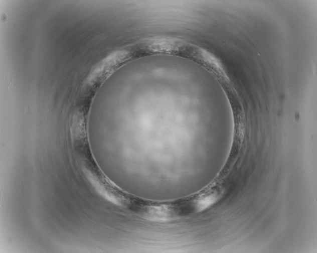 X0000087520411200705112011