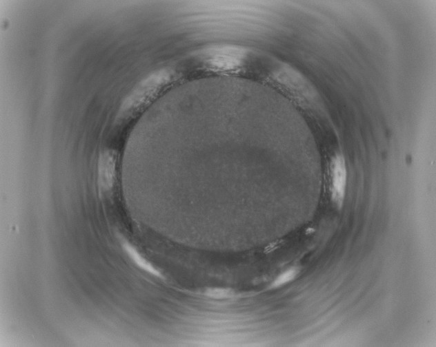 X0000087520412200705112011