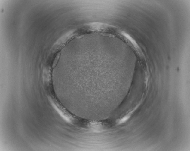 X0000087520413200705112011