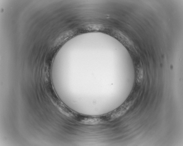 X0000087520414200705112011