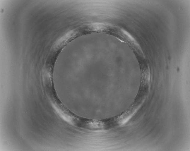 X0000087520415200705112011