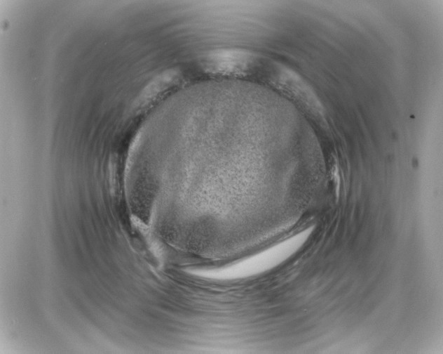 X0000087520416200705112011