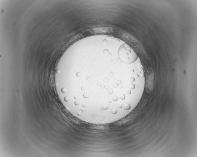 X0000087520418200705112011