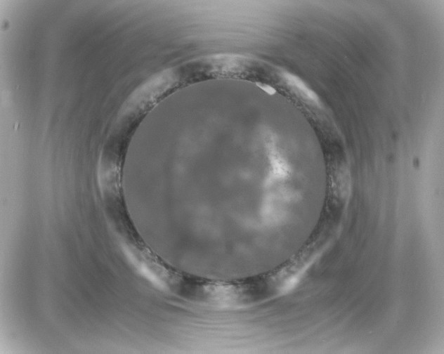 X0000087520419200705112011