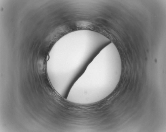 X0000087520420200705112011