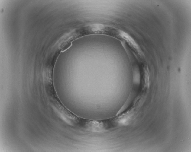 X0000087520421200705112011