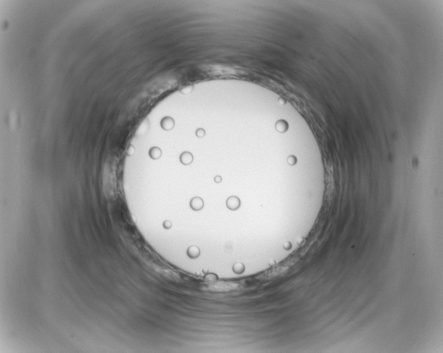 X0000087520422200705112011