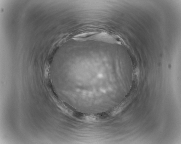 X0000087520423200705112011