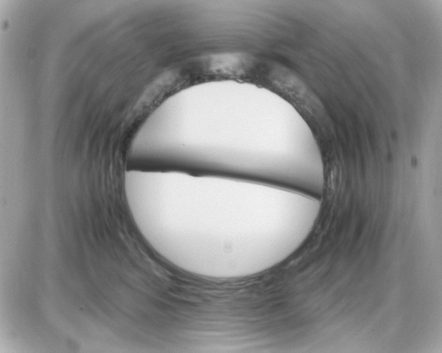 X0000087520424200705112011