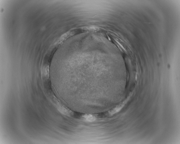 X0000087520425200705112011