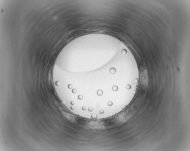 X0000087520426200705112011