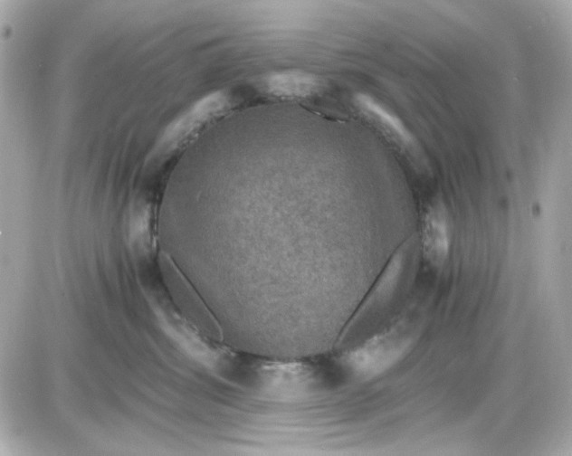 X0000087520428200705112011