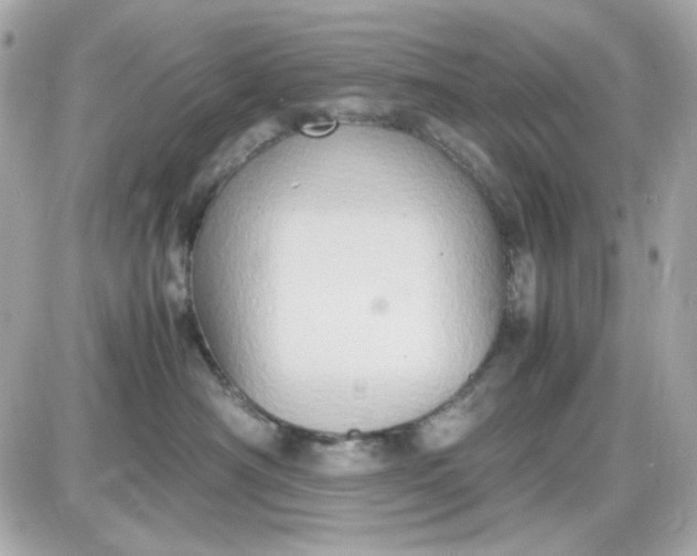 X0000087520430200705112011