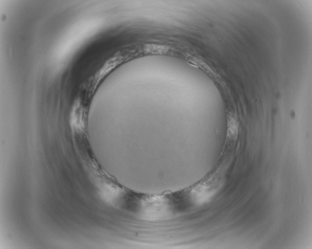 X0000087520431200705112011