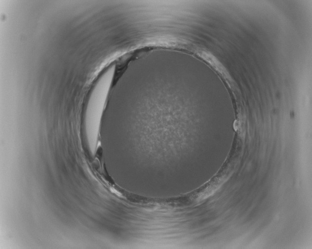 X0000087520434200705112010