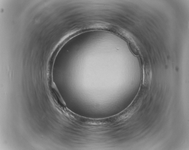 X0000087520435200705112010