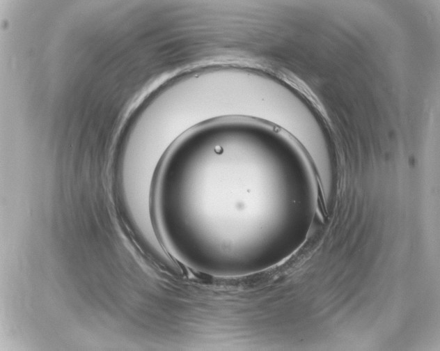 X0000087520436200705112010