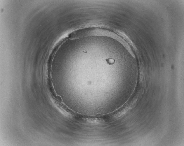 X0000087520439200705112010