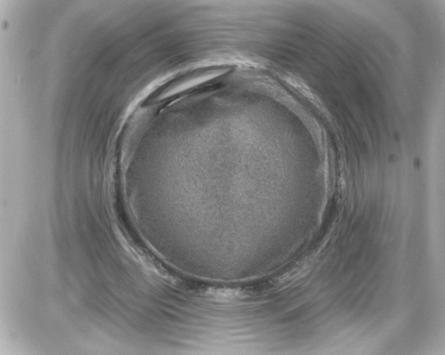 X0000087520440200705112010