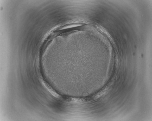 X0000087520442200705112010