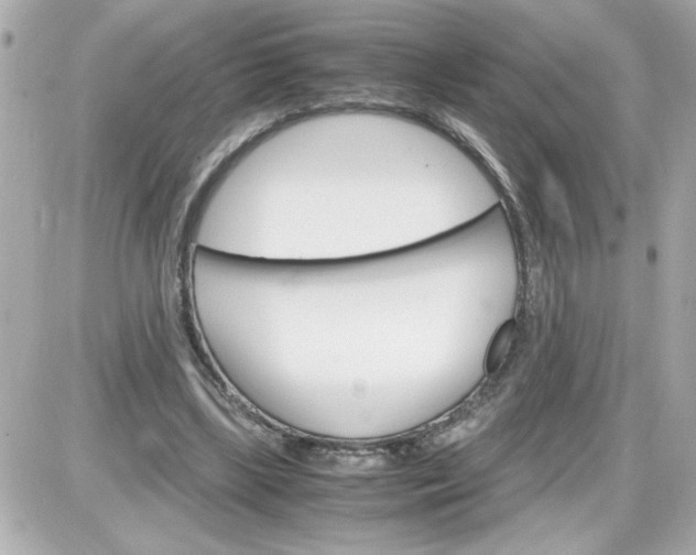 X0000087520443200705112010