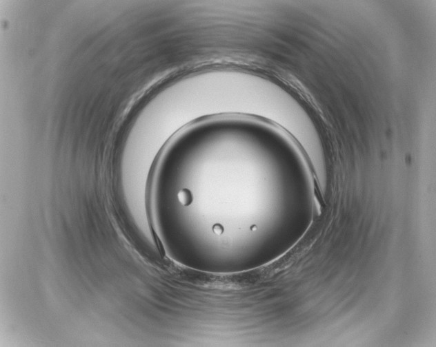 X0000087520444200705112010