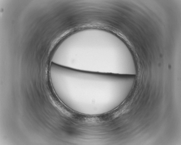 X0000087520446200705112010