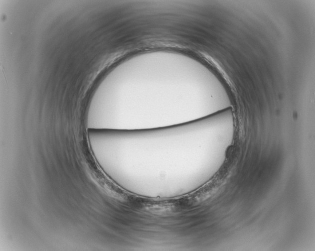 X0000087520447200705112010