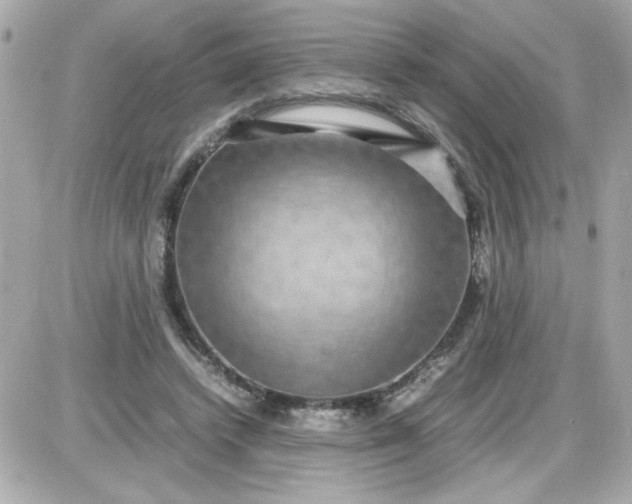 X0000087520448200705112010