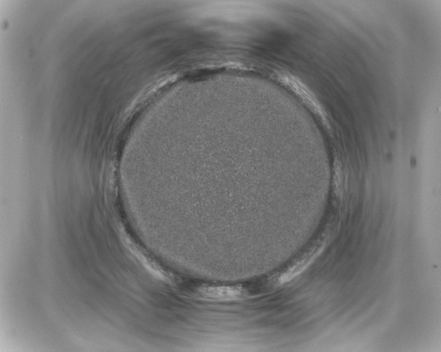 X0000087520449200705112010