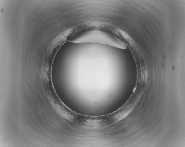 X0000087520450200705112010