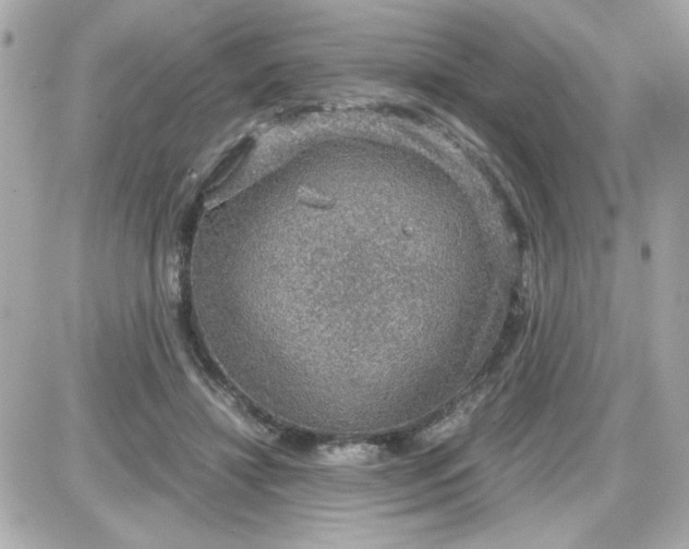 X0000087520452200705112010