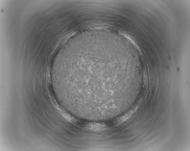 X0000087520453200705112010