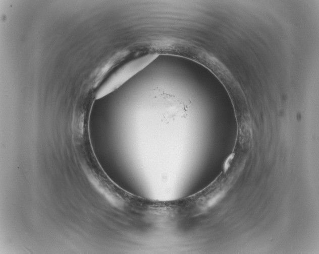 X0000087520454200705112010