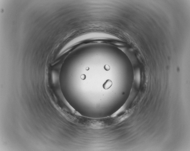 X0000087520456200705112010