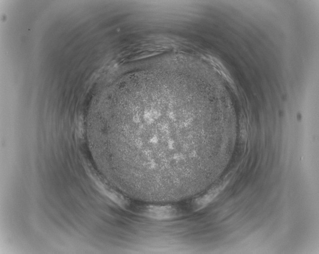 X0000087520457200705112010