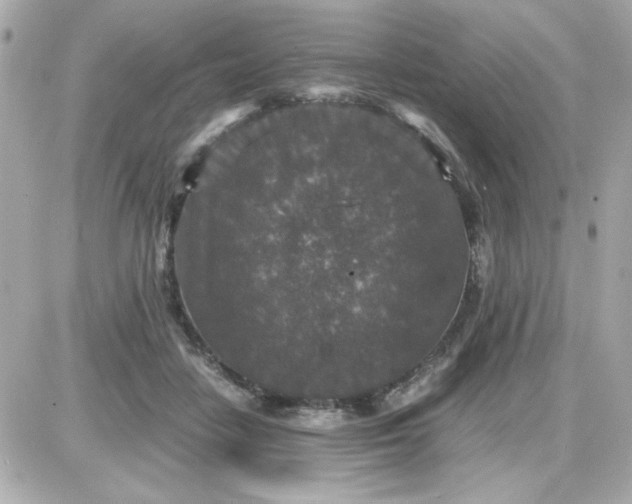 X0000087520458200705112010