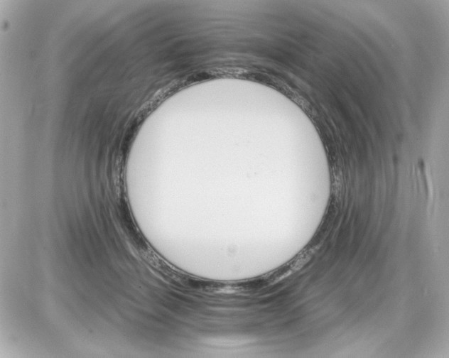 X0000087520460200705112010