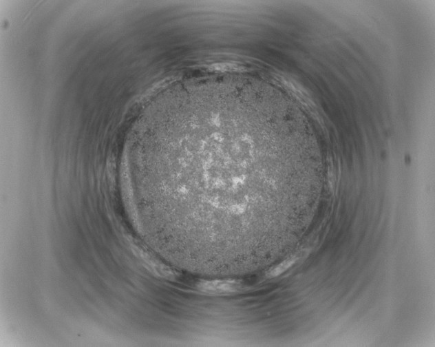 X0000087520461200705112010