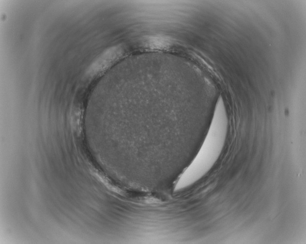 X0000087520462200705112010