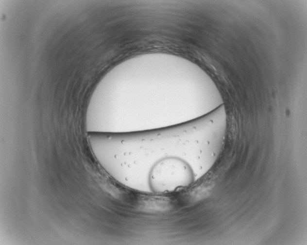 X0000087520463200705112010