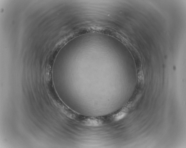 X0000087520464200705112010