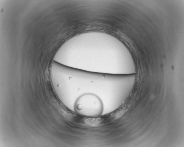 X0000087520465200705112011