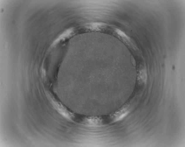 X0000087520466200705112011