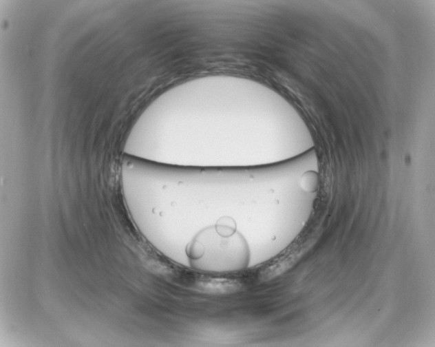 X0000087520467200705112011