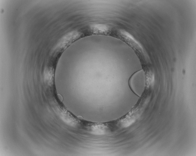 X0000087520468200705112011