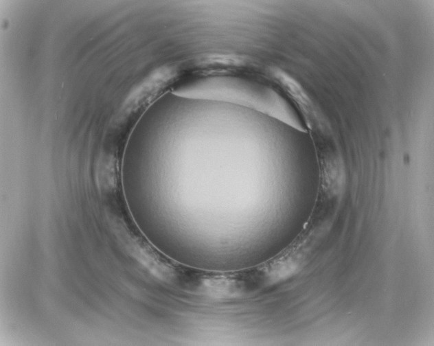 X0000087520470200705112011