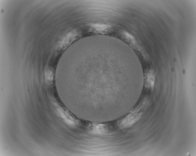 X0000087520472200705112011