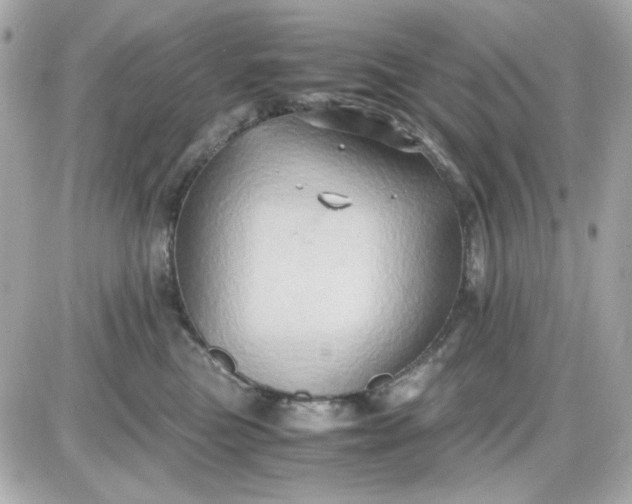 X0000087520473200705112011